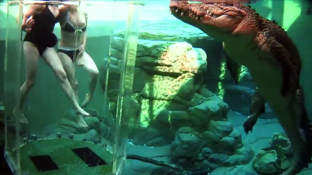 Развлечение Клетка смерти в Австралии