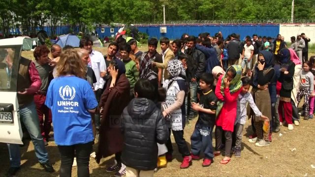 OKB: Refugjatët, numër rekord prej 65 milionë - Top Channel Albania - News - Lajme