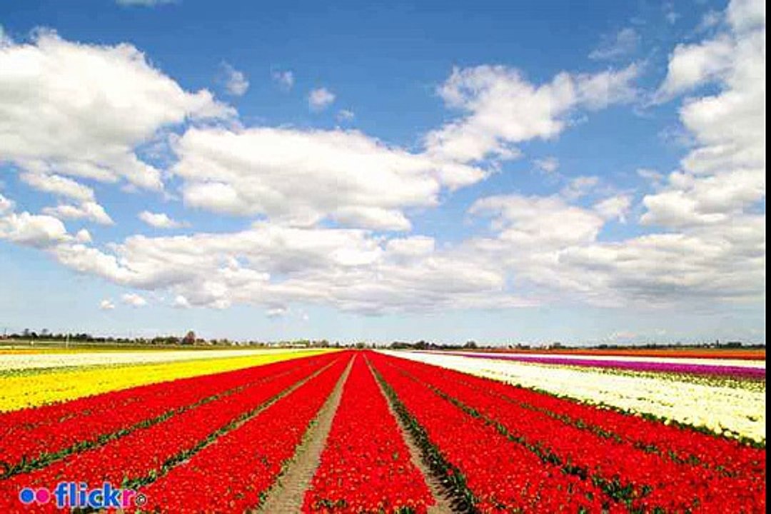 ilmoe.com D 2010 05 28 Btj10 Apakah Setiap Yg Haram Itu Najis Atau Set