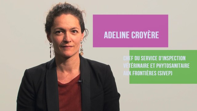 Le contrôle vétérinaire et phytosanitaire des importations