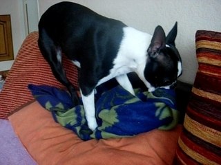 Betsy: A Classic Name with Charm