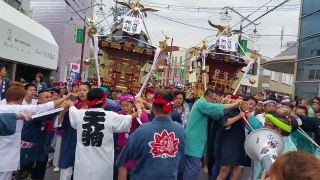 平成27年　　第59回　丹沢祭り神輿パレード １／5