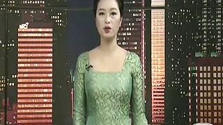Tin Việt Nam, đài Saigon Television ngày 28/12/2015.