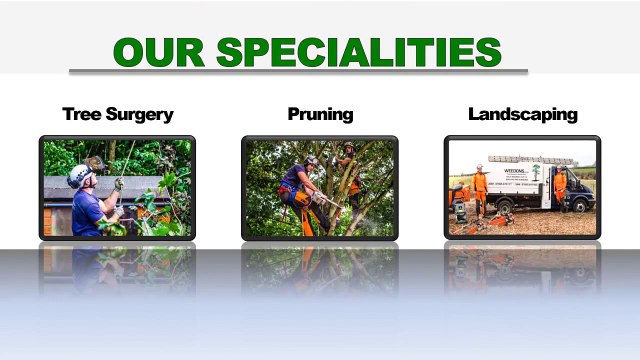 Tree Removal Nottingham - Call Us 07905 675 171 - Nottingham Tree Surgeons