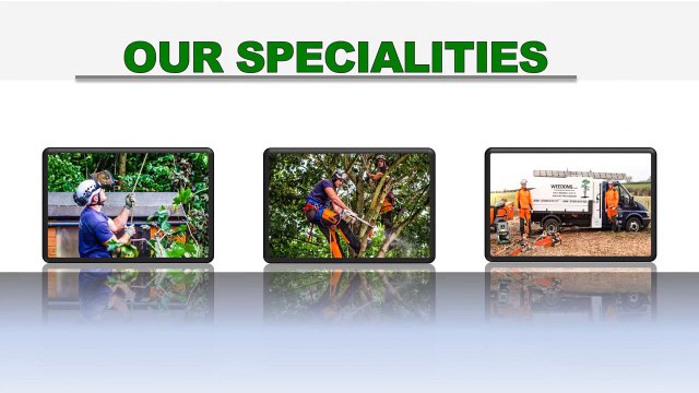 Garden Clearance Nottingham - Tel 07905675171 - Nottingham Tree Surgeons