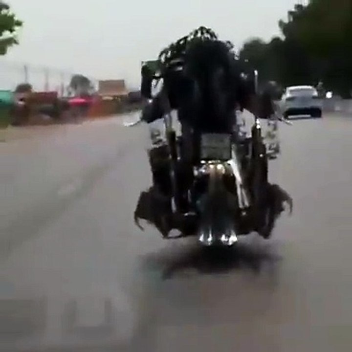 wHAT a bIKER STYLE MUST WATCH