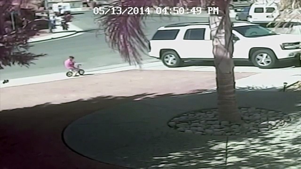 Cat Rescues Little Boy From Dog Attack