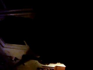 sáb. 28 d noviembre 2009 Lucha de Gigantes BCN