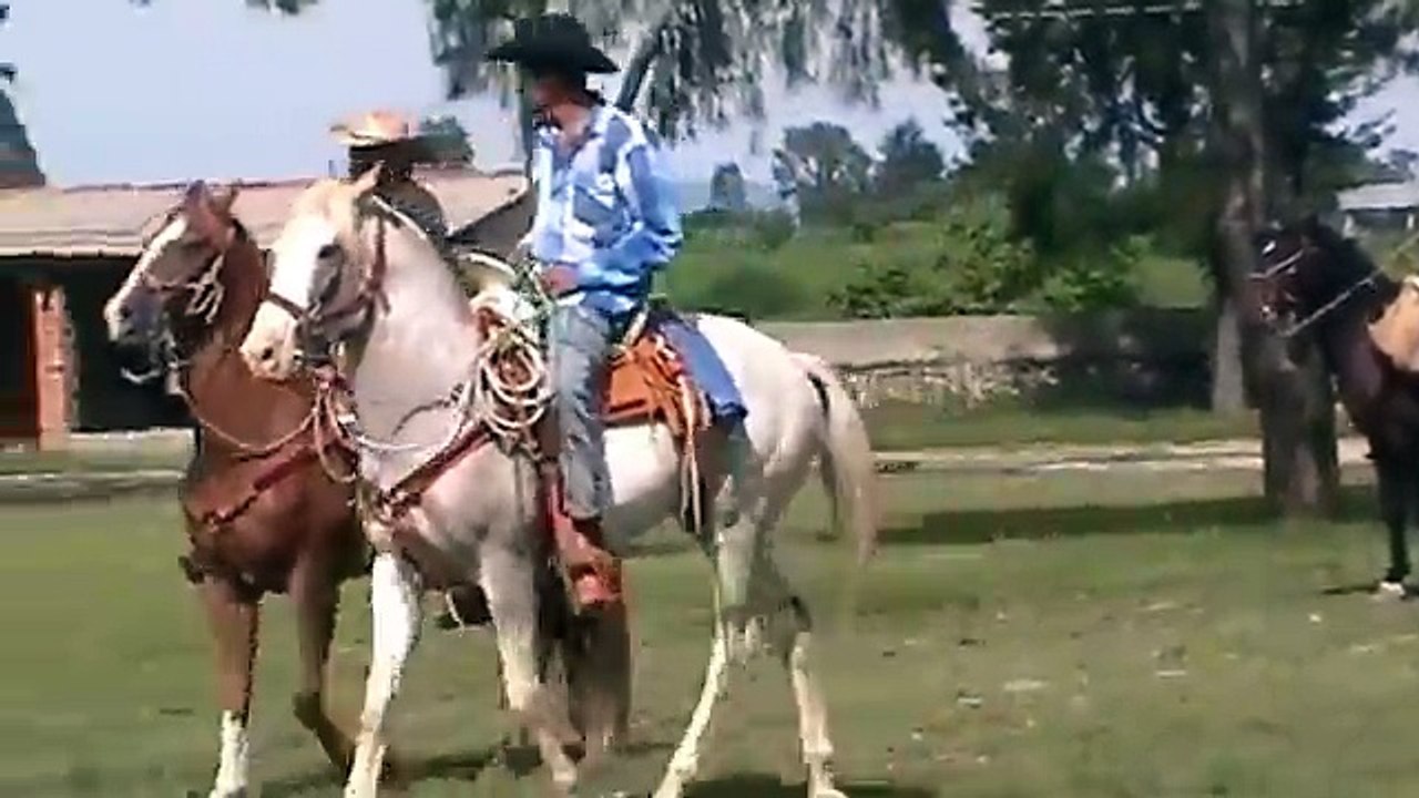 CABALGATA DE LA FERIA DE ZACUALPILLA 28 DE AGOSTO 2013 (4)