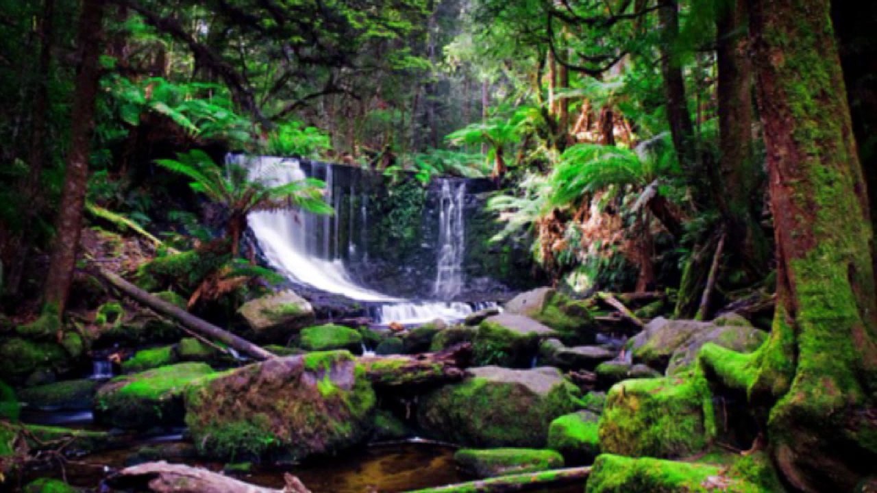 Nu-Jazz Joshua green Roll out HD720 m2 Basscover2 Bob Roha