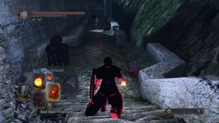 Dark Souls II Hilarious glitch PvP