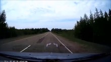 Когда у водителя проблемы с подвеской и головой