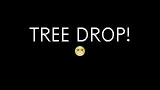15 foot tree drop