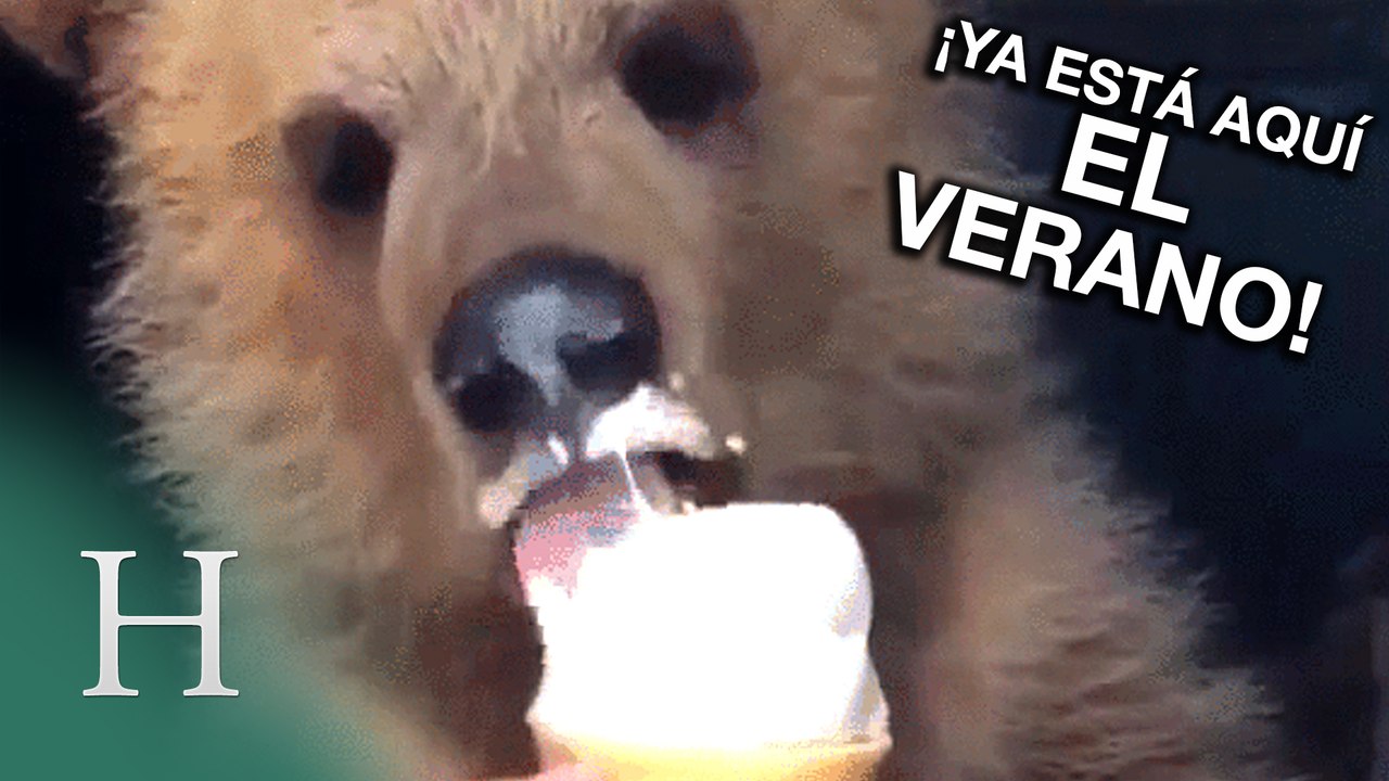 ¡Ha llegado el verano!