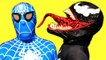 Spiderman vs Venom - In Real Life - Superhero Movie @ , Frozen Elsa vs Wonder woman vs Spiderman - 3D Animation - English Nursery rhymes - 3d Rhymes - Kids Rhymes - Rhymes for childrens