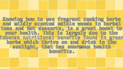 Enormous Health Benefits Of Cooking Herbs And Edible Weeds That Drink In The Sunlight