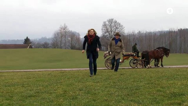 SDL 2446 - Nina André (5)