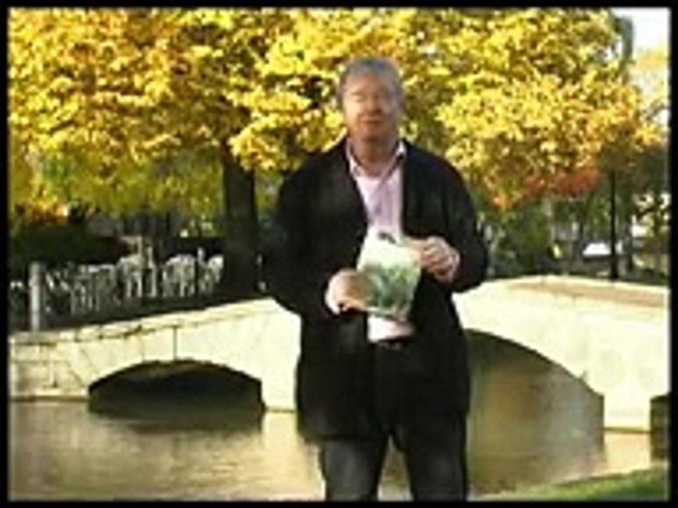 Terry s Top Tips for Watercolour Artists with Terry Harrison