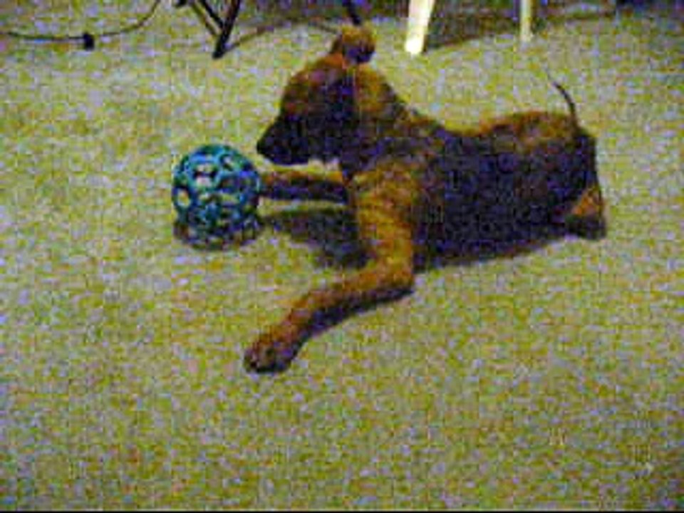 "Duckie" (Adopted!) Finally Gets Cabin Fever on Day 25