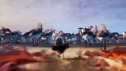 Piper  – First Look – Official Disney Pixar - HD