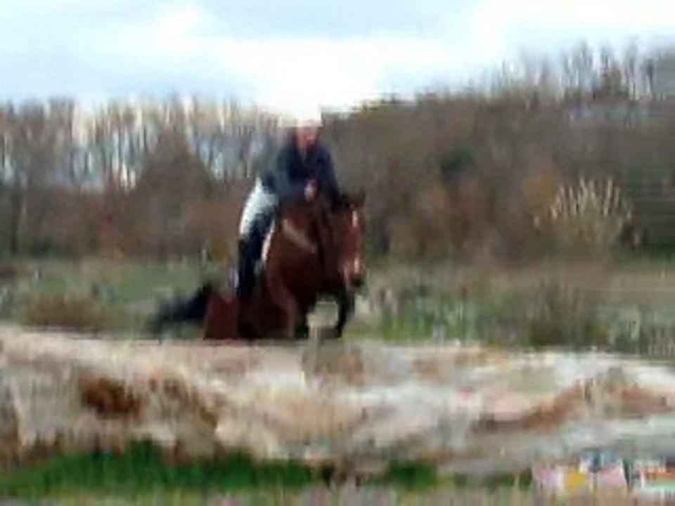 Dream & Me schooling