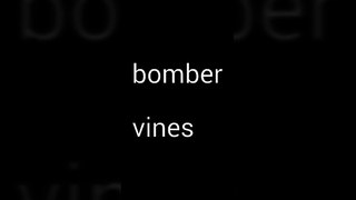 Bomber vines- mario galaxy