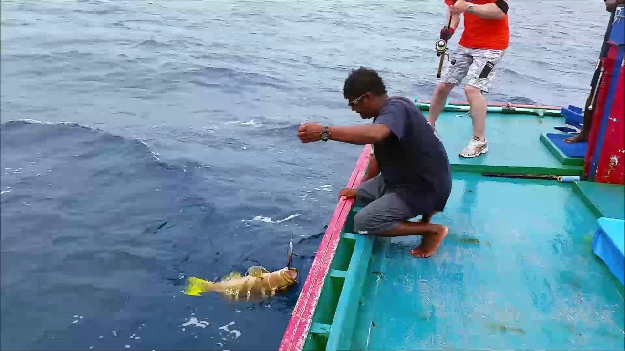 Popping saltwater spinningmaldives may 2016 jupiter sunrise lodge
