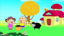 Baa Baa Black Sheep | Nursery Rhyme | Popular Nursery Rhymes for Babies by Hooplakidz TV