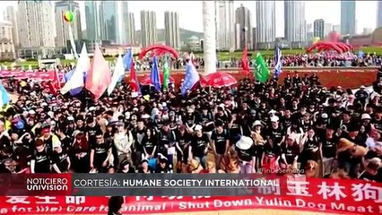 De esta manera sacrifican a los perros en China