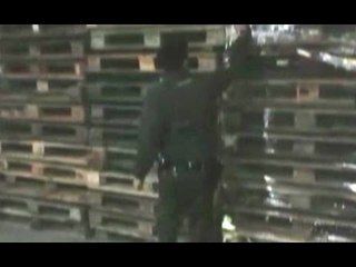 Parma - Sequestrati 65.700 pallets contraffatti (20.06.16)