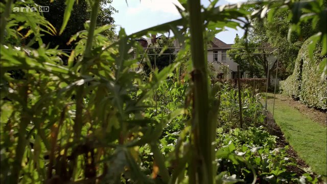 Les Jardins Suspendus De Babylone