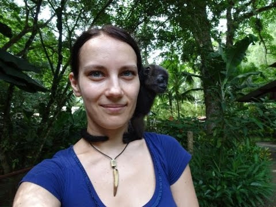 Orphaned Baby Howler Monkey Hangs Out With New Friend