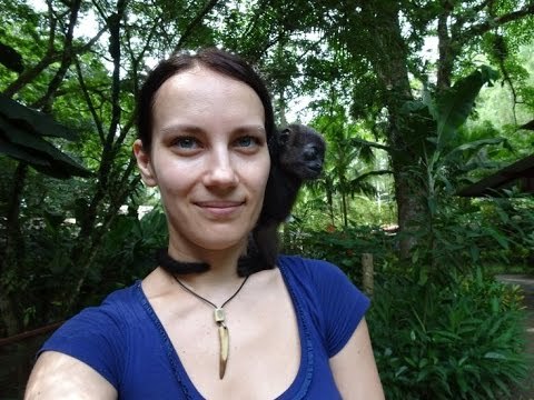 Orphaned Baby Howler Monkey Hangs Out With New Friend