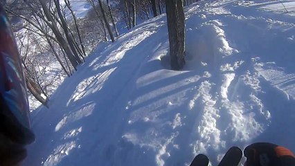 斑尾高原(2014.1.15)3