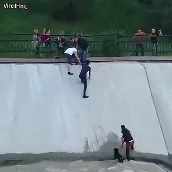 ils sauvent un Chien d'une façon incroyable