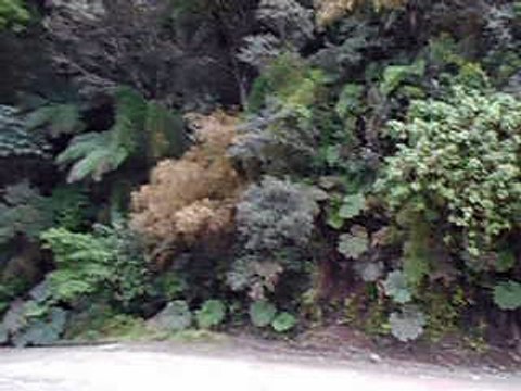 Subindo a Serra do Corvo Branco