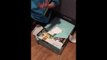 Young Boy Has Best Reaction to His Birthday Gift