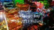 San Diego Bay Fishing - 7/19/2013
