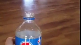Pepsi dog