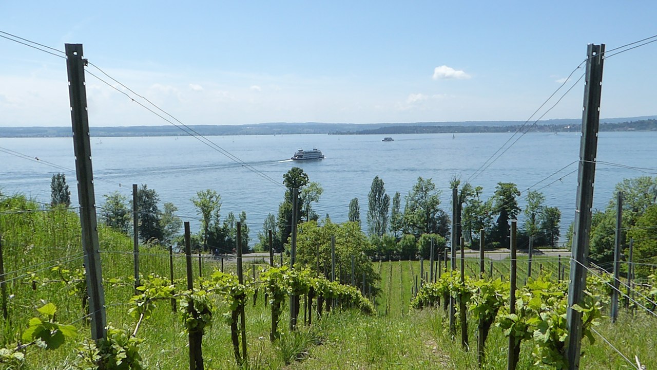 Wanderung am Bodensee: Von Unteruhldingen nach Meersburg (über Gehautobel)