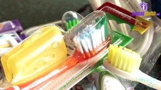 Top 10 Dental Health Tips: Oral Hygiene