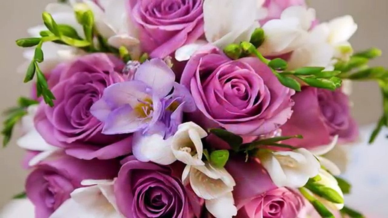 Ellie Amirmoazami - Flowers