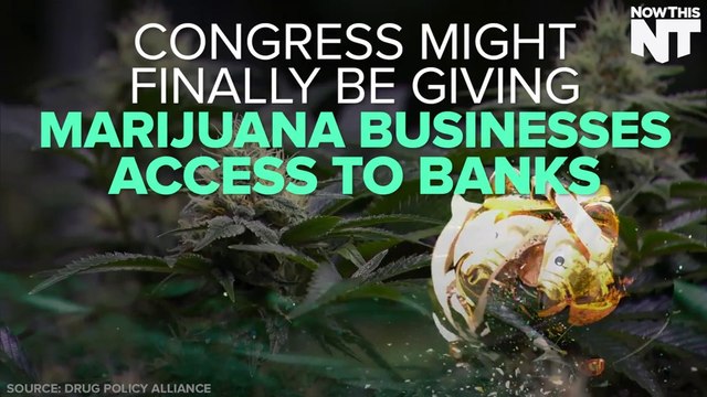 Senate Rules To Let Marijuana Businesses Access Banks