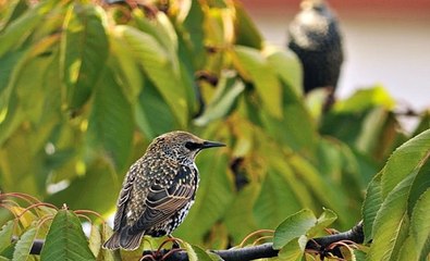 해외대해외양방 プ 《〃Superk34。CoM〃》온라인토토