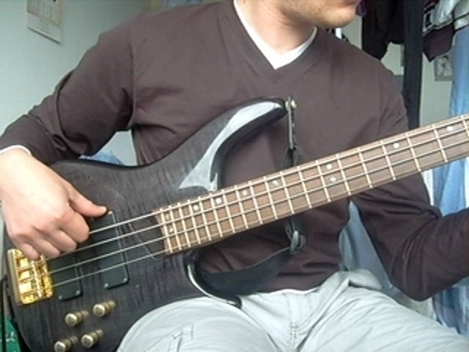 basse red hot chili peppers flea