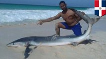 Animal cruelty: blue shark dies after being pulled from water in Punta Cana for photos - TomoNews