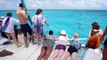 Dolphin Tales 2/2016 - Socializing and Swimming with Wild Dolphin Pods in the Bahamas