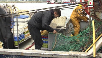 Loctudy    |    Le bon port de peche - Bretagne Tele
