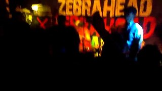 Zebrahead - Yeovil - Orange Box