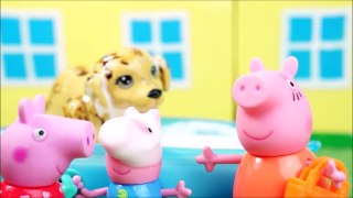 PIG GEORGE'S FAMILY PEPPA PIG Querying the Dentist and giving bath in the Dog Peppa!